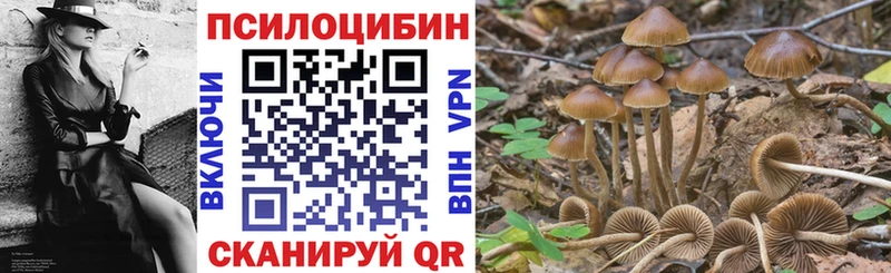 omg tor  Нурлат  Галлюциногенные грибы прущие грибы 